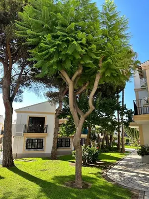 Edificio en el que se encuentra el apartamento