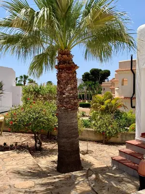 Jardín al aire libre en LA BARRACA - Ideal para familias y adultos responsables en busca de tranquilidad no se permiten fiestas