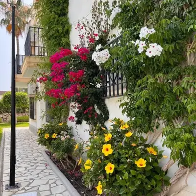 Duplex Olimp Vera Costa