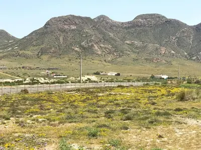 Paisaje cerca de este apartamento