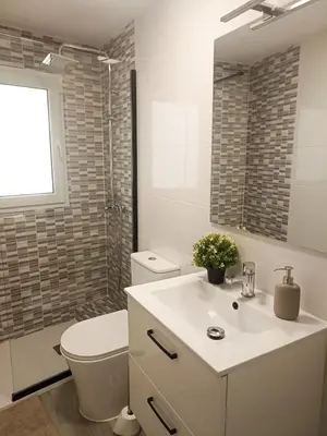 Un baño de Centro historico Catedral, reformado