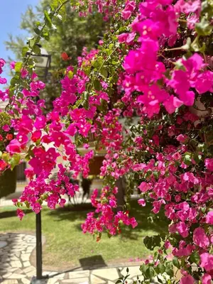 Jardín al aire libre en Casa Brisa Vera Costa con piscina abierta todo el año