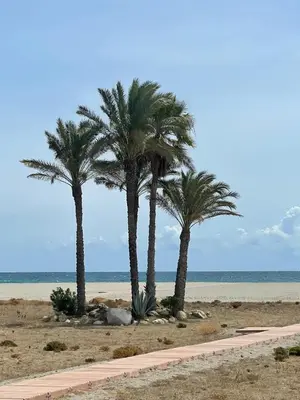 Paisaje cerca de este apartamento