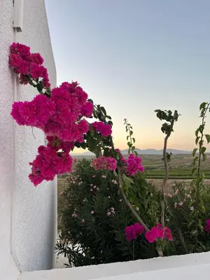 Jardín al aire libre en Cortijo Amara Agua
