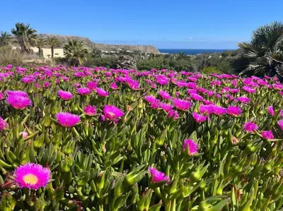 Paisaje cerca de esta villa