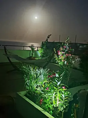 Jardín al aire libre en Appartement Super Terrasse Vue Panoramique Mer