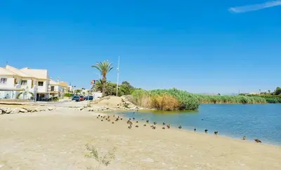 Paisaje cerca de este apartamento