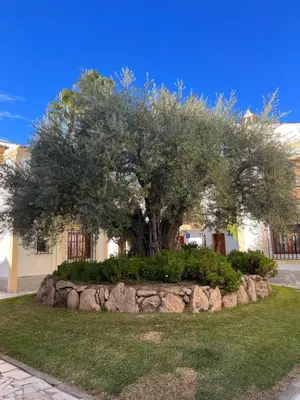 Jardín al aire libre en Vivaldi Vera Costa
