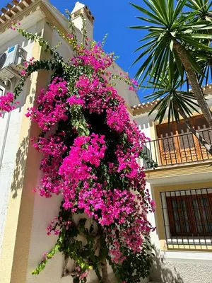 Jardín al aire libre en Vera Costa cerca de la playa