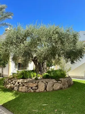 Jardín al aire libre en Casa Ola