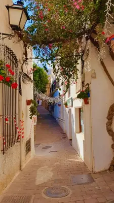 El barrio de los alrededores o un barrio cerca de este apartamento