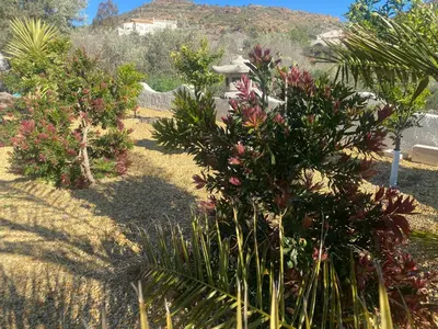Paisaje cerca de este bed & breakfast