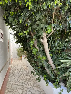 Jardín al aire libre en El Mirador de Mojácar