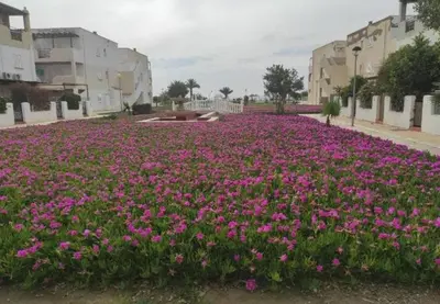 Jardín al aire libre en Naturista Natura World