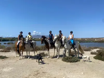 Animales en el apartamento o alrededores