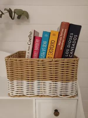 Biblioteca en el apartamento