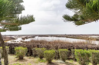 Paisaje cerca de este apartamento