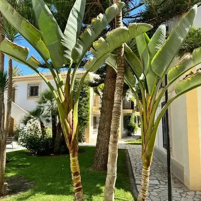 Mi Casa Vera Playa -bajo