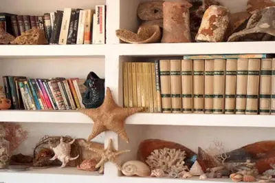 Biblioteca en la villa