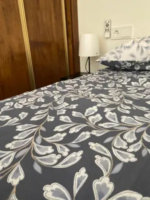 Cama o camas de una habitación en Apartamentos Peñaflor