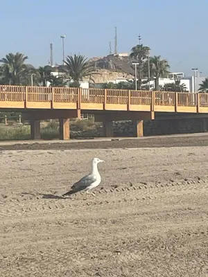 Paisaje cerca de este apartamento