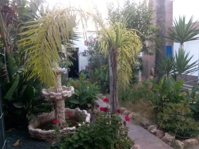 Plano de Apartamento de invitados con piscina