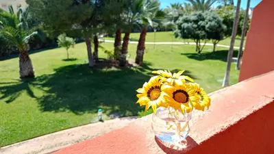 Jardín al aire libre en Piso naturista en Parque Vera 3