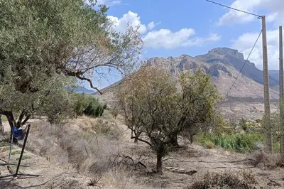 Paisaje cerca de este apartamento