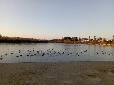 Paisaje cerca de este apartamento
