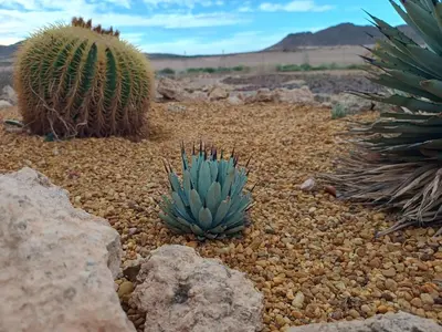Paisaje cerca de este apartamento