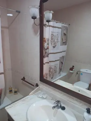 Un baño de Casa Dinu