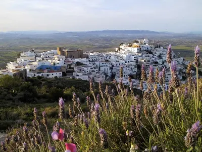 Paisaje cerca de este apartamento
