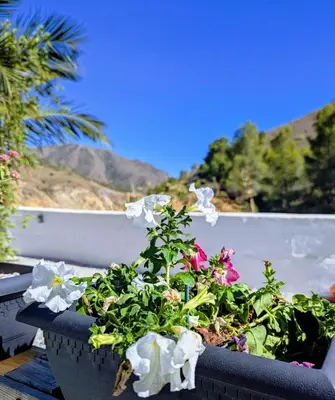 Paisaje cerca de este bed & breakfast