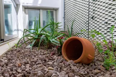 Jardín al aire libre en Jurinea Carboneras