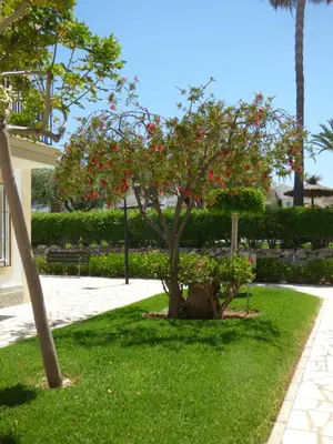 Jardín al aire libre en CASA DE LIVIA Vera Playa-bajo