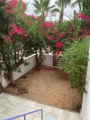 Jardín al aire libre en Casa Gata