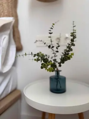 Plano de Apartamento La Gata del Cabo