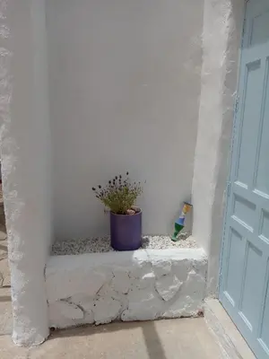 Plano de Almond Reef Casa Rural