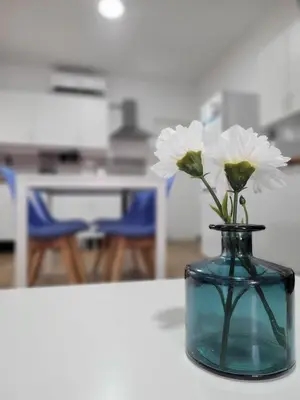 Una cocina o zona de cocina en Apartamento Playa