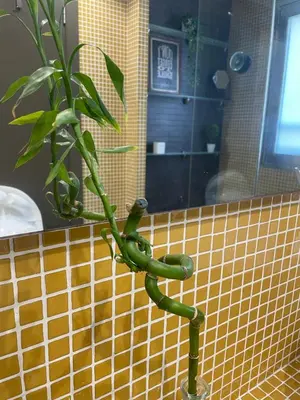 Un baño de Bonito apartamento en Aguadulce