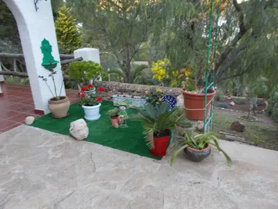 Jardín al aire libre en Algarrobo