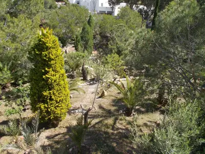 Jardín al aire libre en Algarrobo