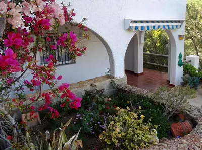 Jardín al aire libre en Algarrobo