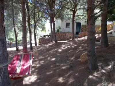 Jardín al aire libre en Los Pinos