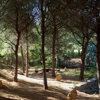 Los Pinos