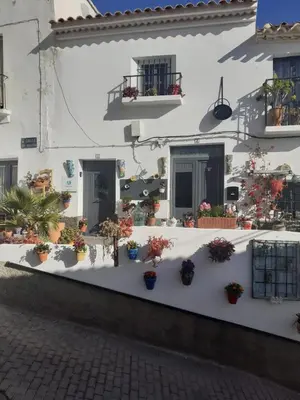 Edificio en el que se encuentra la casa o chalet