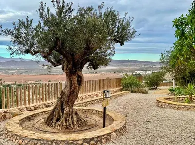 Paisaje cerca de este apartamento