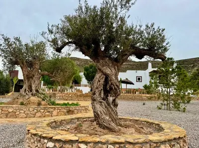 Paisaje cerca de este apartamento