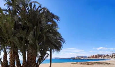 Paisaje cerca de este apartamento