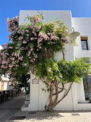 Edificio en el que se encuentra el apartamento